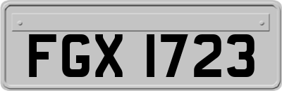 FGX1723