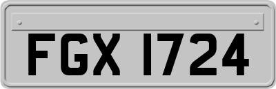 FGX1724