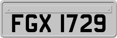 FGX1729