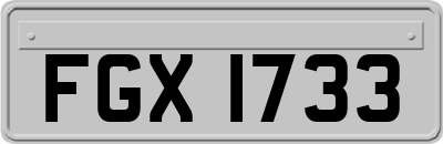 FGX1733