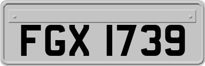 FGX1739