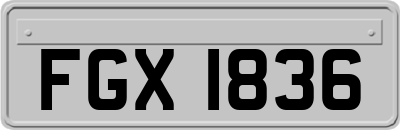 FGX1836