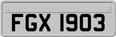 FGX1903