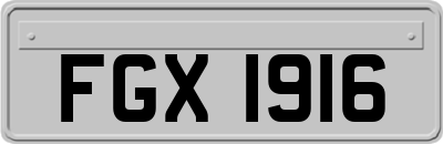FGX1916