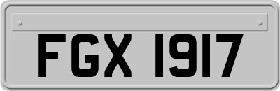 FGX1917