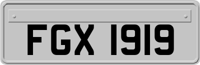 FGX1919