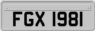 FGX1981
