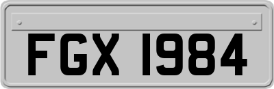 FGX1984