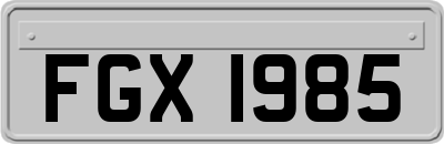 FGX1985
