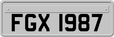 FGX1987