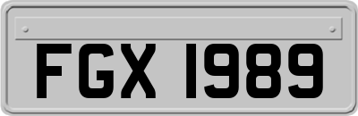 FGX1989