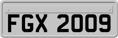 FGX2009
