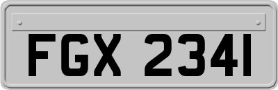 FGX2341