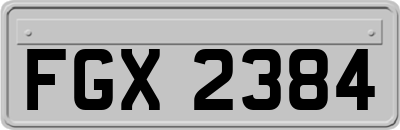 FGX2384