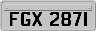 FGX2871