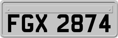 FGX2874