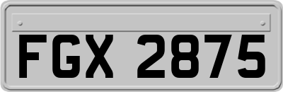 FGX2875
