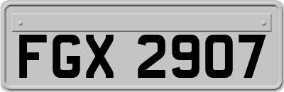 FGX2907