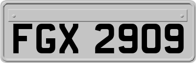 FGX2909
