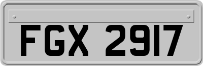 FGX2917