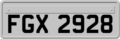 FGX2928