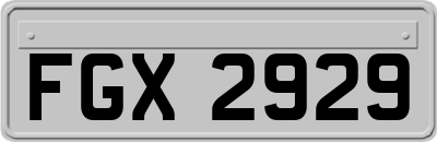 FGX2929