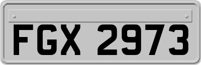 FGX2973