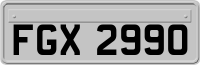 FGX2990