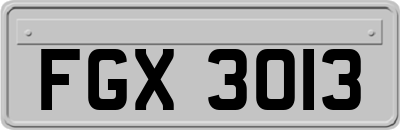 FGX3013