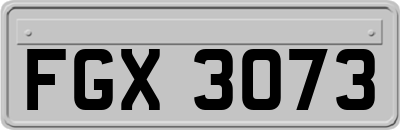 FGX3073