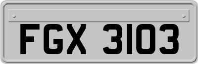 FGX3103