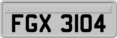 FGX3104