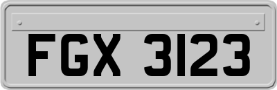 FGX3123