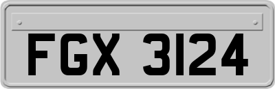FGX3124