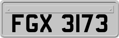 FGX3173
