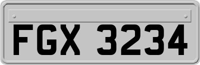 FGX3234