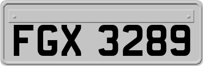 FGX3289