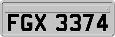 FGX3374