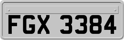 FGX3384