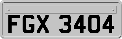FGX3404