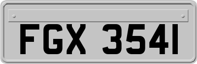 FGX3541