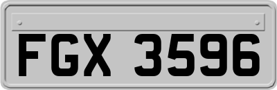 FGX3596