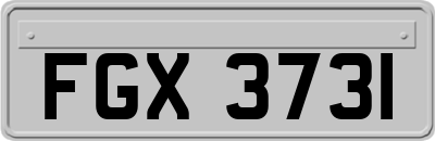 FGX3731
