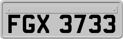 FGX3733