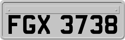 FGX3738