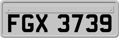 FGX3739