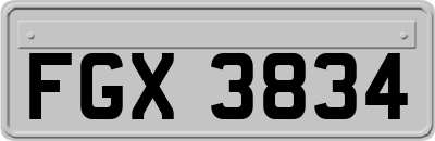 FGX3834