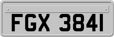 FGX3841