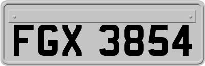FGX3854