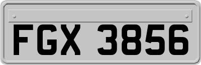 FGX3856